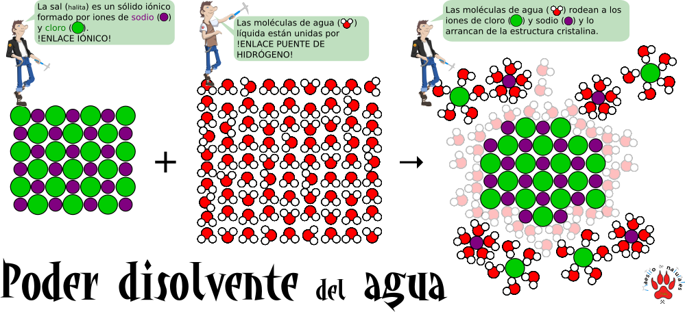 Tema 8.03 Biomoléculas Inorgánicas